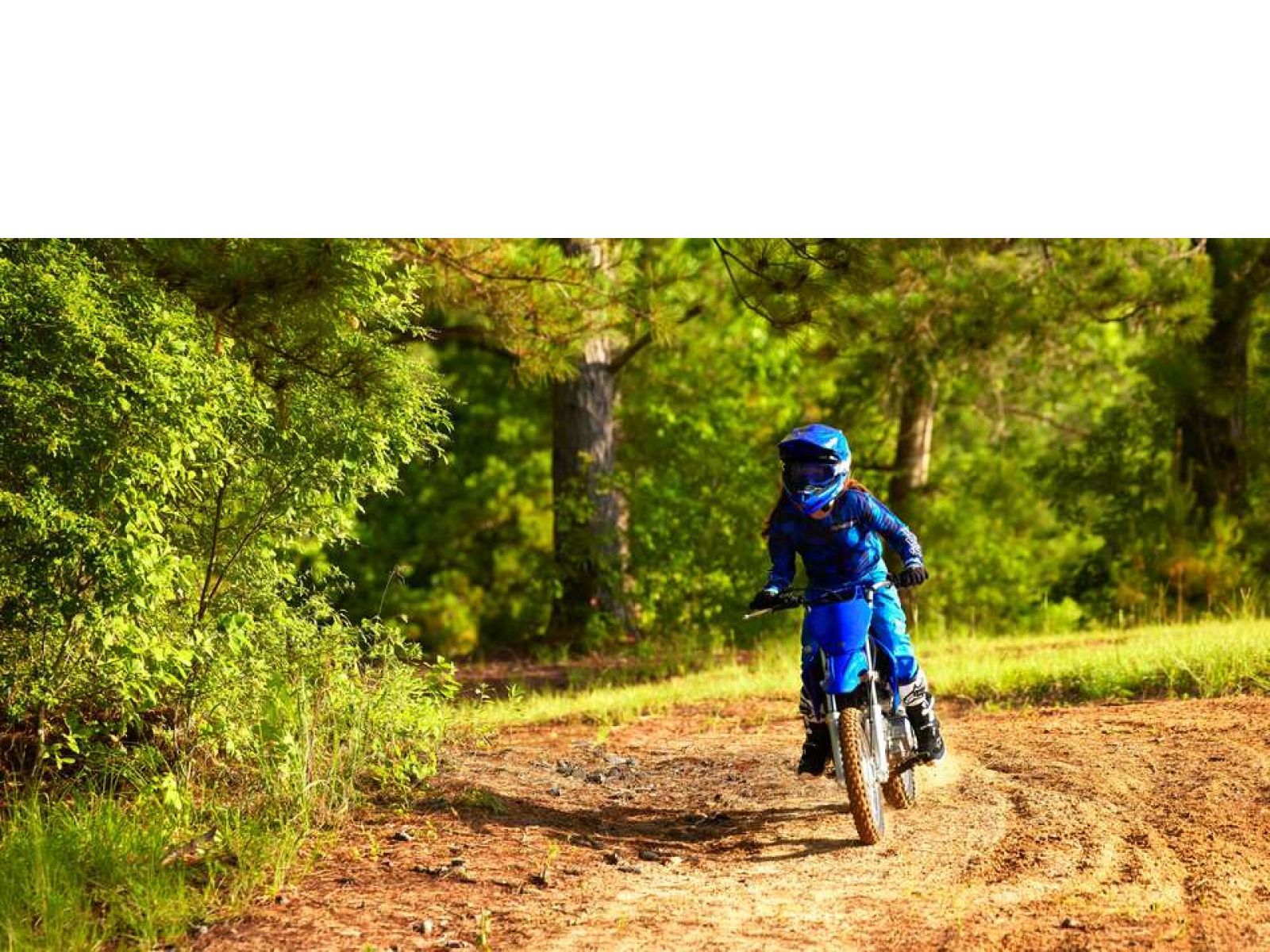 Мотоцикл YAMAHA TTR 110 E (Icon Blue) 2024